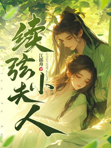 续弦小夫人免费阅读