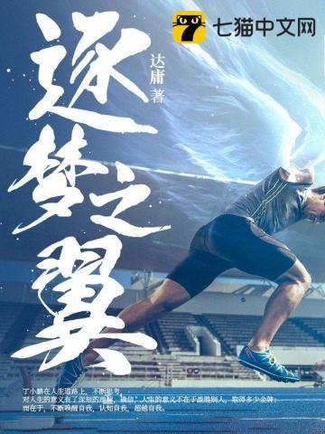 逐梦之翼多少点券