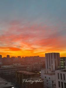 女帝后面还有出场吗