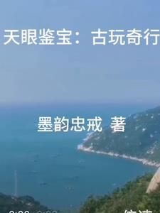 天眼鉴宝电视剧