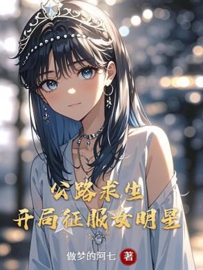 公路求生开局征服女明星汽车等级