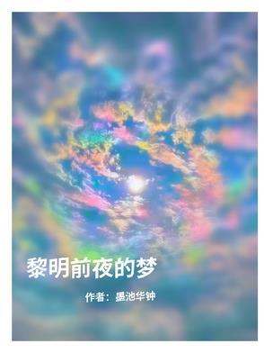 黎明前的夜色