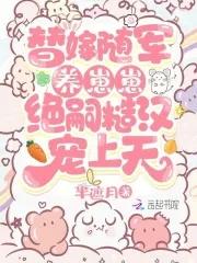 替嫁将军寒武纪年