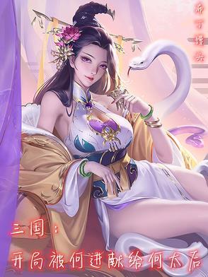 三国开局上何皇后