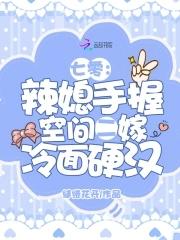 穿越七零之辣妻当家