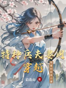 特种兵穿越成夫郎