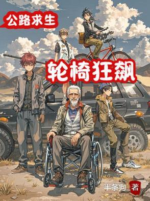开轮椅飙车
