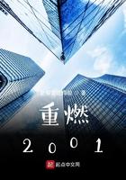 重燃2001免费阅读