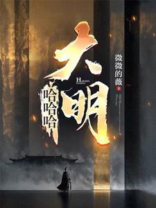 大明反王