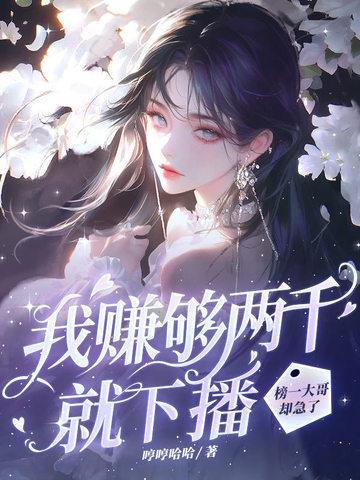 我赚够三千万就收手音乐名字