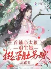 重生首辅宠妻记