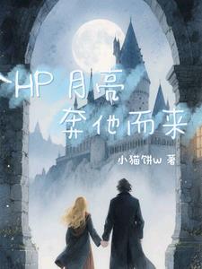月亮奔我而来讲的什么
