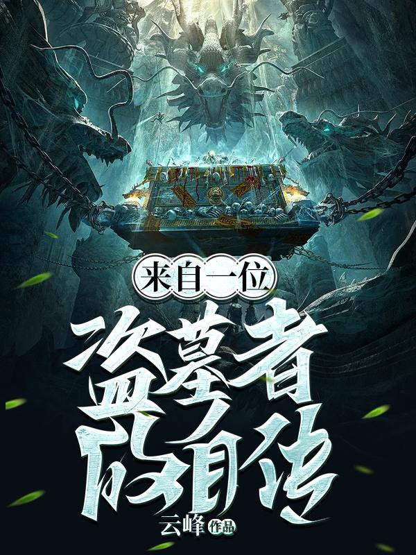 来自一位盗墓者的自传实体书