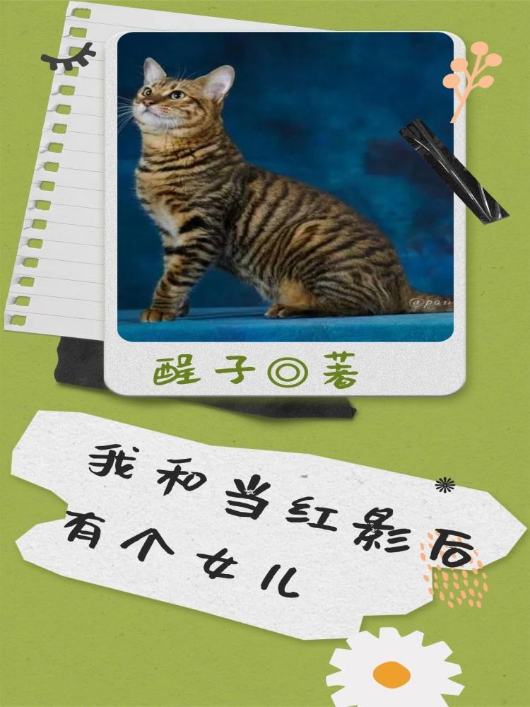 我和影后有个约会gl全文免费阅读