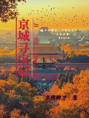 北京寻宝记视频