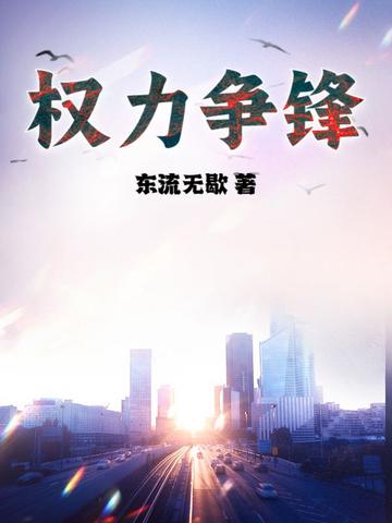 权力争锋全集