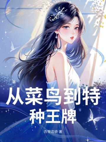 从菜鸟到高手的动漫