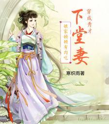 穿越成秀才娘子的古言