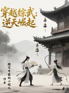 好看的综武穿越