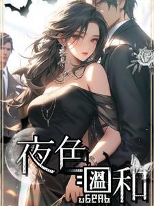 夜色温柔简介