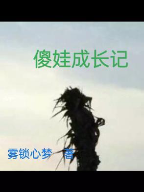傻娃传奇