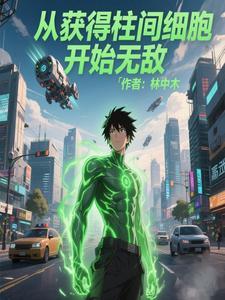 火影抽卡就变强免费