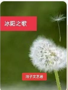 歌手冰阳