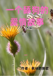 舔狗的爱情是什么样的