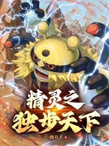 精灵宝可梦之神级登陆