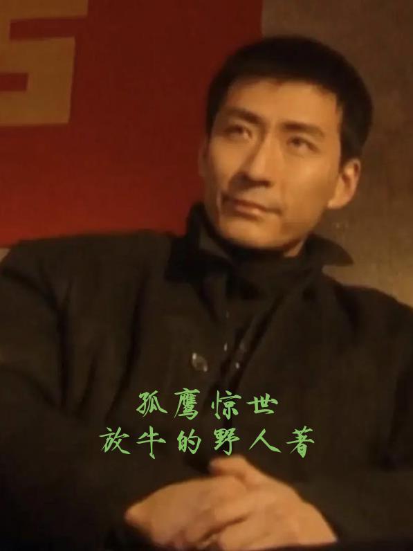 孤鹰惊鸿