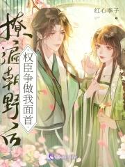 凤髓主角