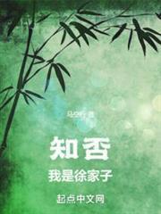 知否我是徐家子男主娶了谁