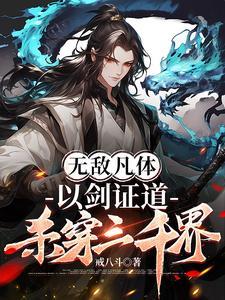 无敌剑体决全本