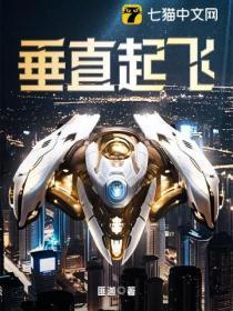 垂直起飞和垂直降落的成语