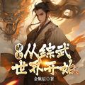 诸天从综武世界开始宋玄