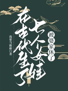 被婆家休了动画视频