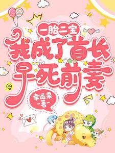 一胎双宝