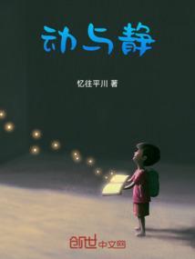 动与静的描写
