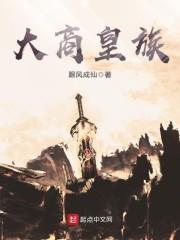 叶浪系统