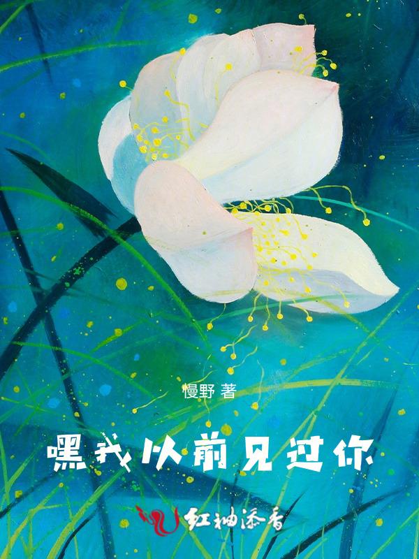 我之前从未见过你英语