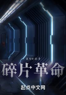 碎片这本书讲了什么