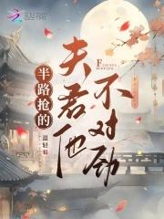 半路夫夫免费阅读