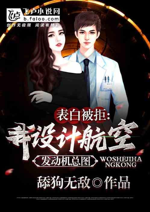 航空发动机总体设计师