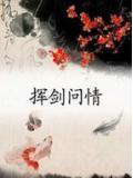 挥剑问情百度