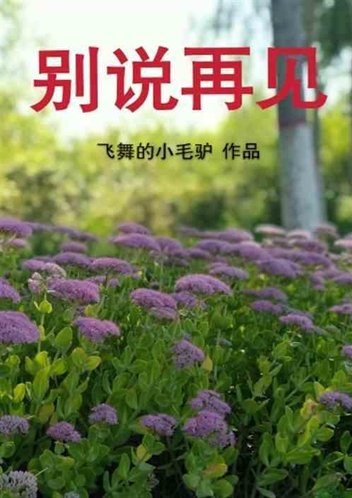 别说再见全集免费播放