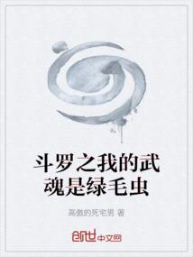 斗罗之我的武魂是魂环顶点