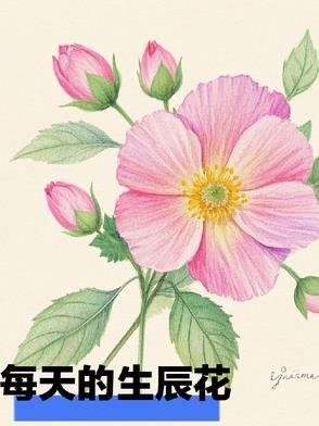 每日生日花