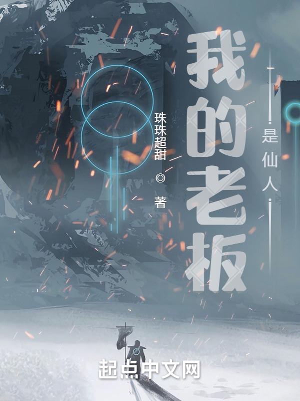 我的老板是les