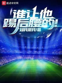 谁让他踢后腰的txt80
