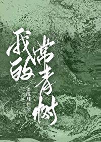 做我的常青树姜揽月